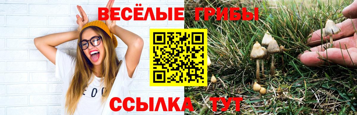 Галлюциногенные грибы мухоморы  Псилоцибиновые грибы Psilocybine cubensis  Вход с VPN  магазин продажи   Ангарск 